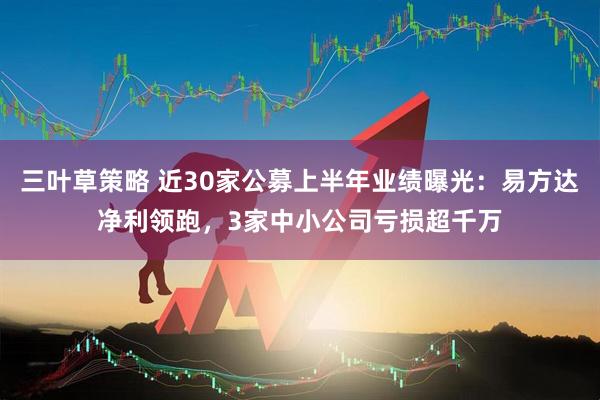 三叶草策略 近30家公募上半年业绩曝光：易方达净利领跑，3家中小公司亏损超千万