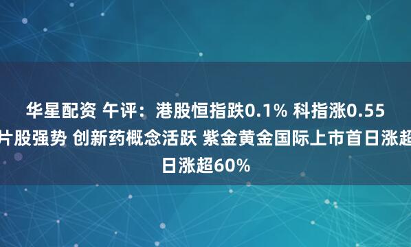 华星配资 午评：港股恒指跌0.1% 科指涨0.55% 芯片股强势 创新药概念活跃 紫金黄金国际上市首日涨超60%
