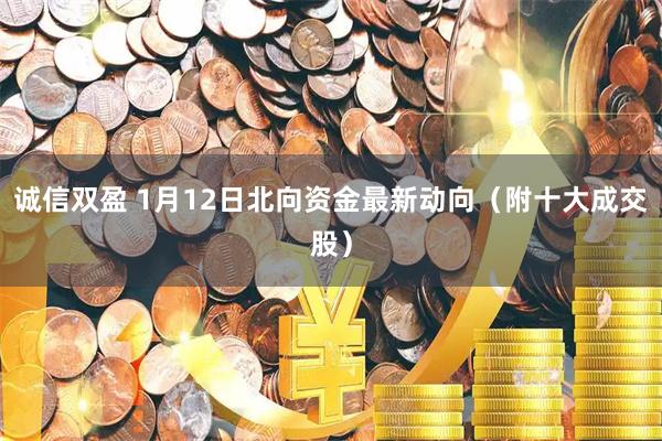 诚信双盈 1月12日北向资金最新动向（附十大成交股）