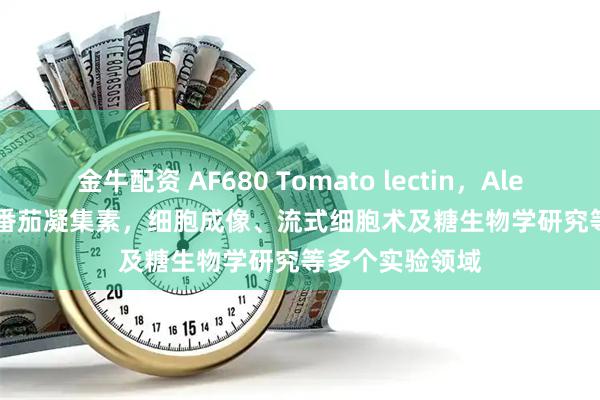 金牛配资 AF680 Tomato lectin，Alexa Fluor 680番茄凝集素，细胞成像、流式细胞术及糖生物学研究等多个实验领域