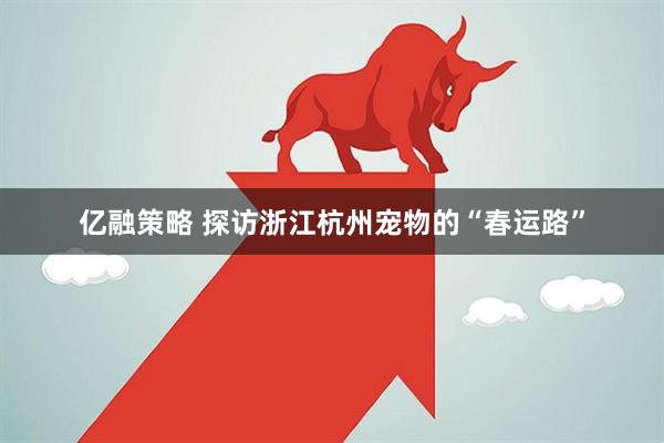 亿融策略 探访浙江杭州宠物的“春运路”