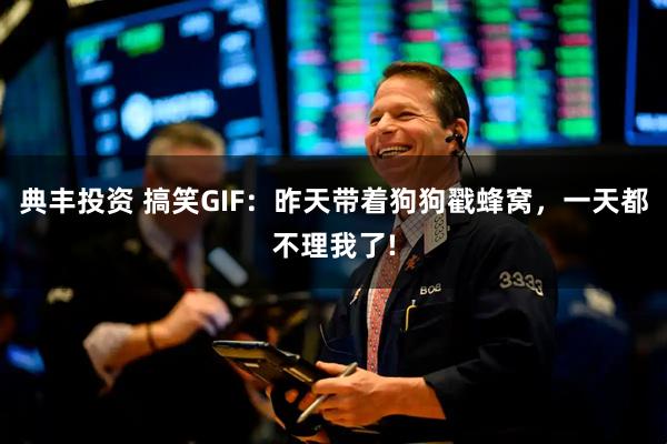 典丰投资 搞笑GIF：昨天带着狗狗戳蜂窝，一天都不理我了!